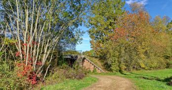 BATTUES DE CHASSE - 2025